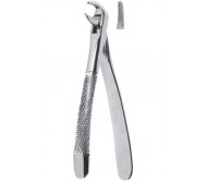 Extracting Forceps